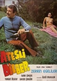Ateşli Dilber (1979)