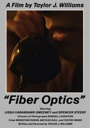Image Fiber Optics