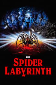 Affiche de Spider Labyrinth