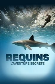 Sharks: The Secret Adventure series tv
