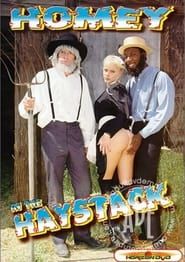 Homey In The Haystack (1999)
