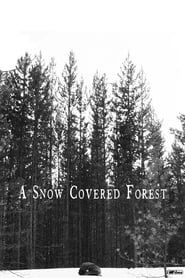 Image A Snow Covered Forest
