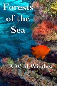 Wild Window: Bosques del Mar series tv