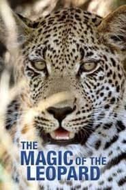 Image The Magic of the Leopard
