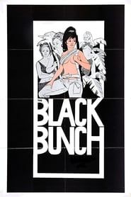 The Black Bunch series tv