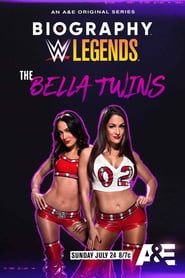 Image Biography: The Bella Twins 2022