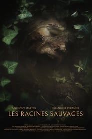 Image Les Racines Sauvages