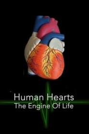 Image Human Hearts: The Engine of Life