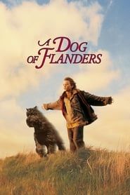 A Dog of Flanders series tv