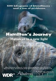 Image Hamilton's Journey - Manatees in a New Light