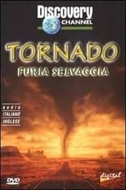 Storm forces tornadoes (2000)