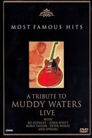 A Tribute to Muddy Waters - Live-hd