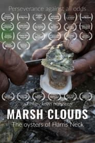 Image Marsh Clouds: The Oysters of Harris Neck 2022