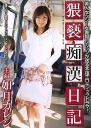 猥褻痴漢日記 (2005)