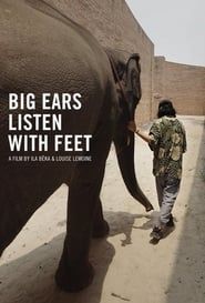 Image Big ears Listen with Feet