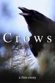 Image Crows - A film essay