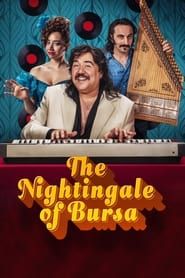 The Nightingale of Bursa series tv