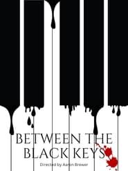 Between The Black Keys series tv