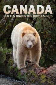 Image Canada : Sur les traces des ours esprits