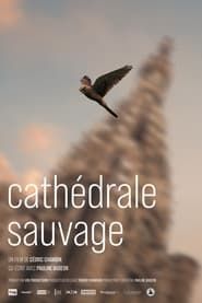 Cathédrale sauvage series tv