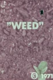WEED 1971 streaming