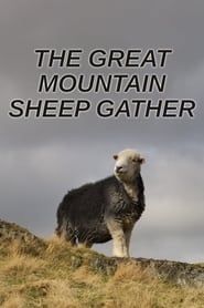 The Great Mountain Sheep Gather series tv
