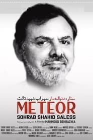 Image Meteor: Sohrab Shahid Saless 2021