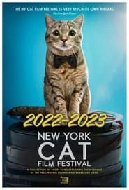 Image 2022–2023 New York Cat Film Festival