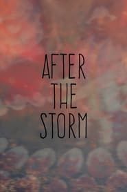 After the Storm series tv