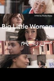 Big Little Women series tv