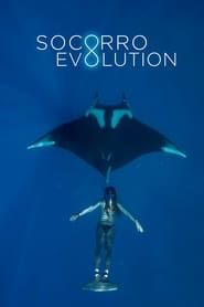 Socorro Evolution series tv