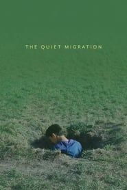 Image The Quiet Migration