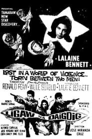 Ligaw na Daigdig (1962)