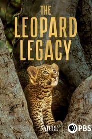 Image Olimba, la reine des léopards 2020