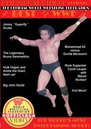 Best of the WWF Volume 1 series tv