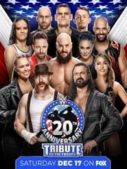 WWE Tribute to the Troops 2022-hd