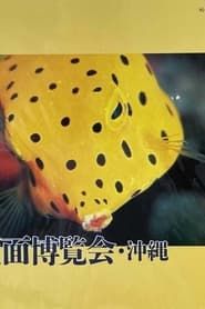 Fish Face At A Sea Exhibition in Okinawa series tv