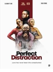Perfect Distraction series tv