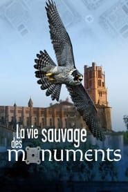 La Vie sauvage des monuments series tv
