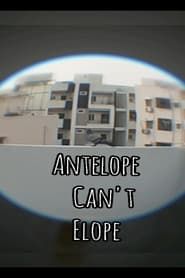 Antelope can't Elope series tv