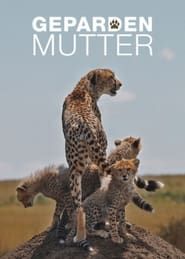 Image Cheetah Mom