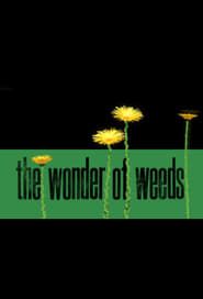The Wonder of Weeds series tv