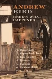 Andrew Bird: Here's What Happened 2012 streaming