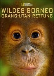 Image Orangutan Rescue - Back to the wild