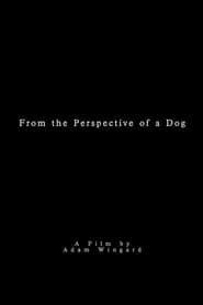 Image From the Perspective of a Dog