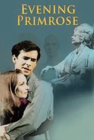 Evening Primrose series tv