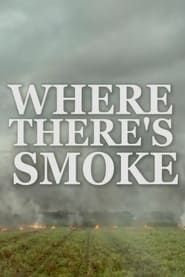 Where There’s Smoke series tv