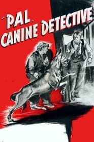 Pal, Canine Detective-hd