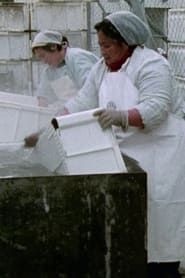 Women Workers in Greenland series tv