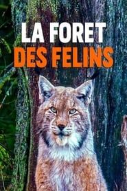 Image La forêt des félins: Chats sauvages et lynx du Harz